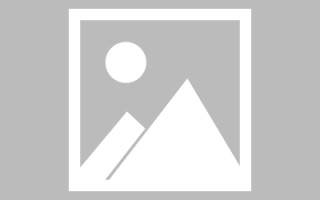 石家庄编制网站建设（编制网站建设包括哪些）